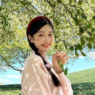 雪与熊 封面