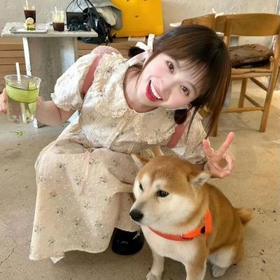 真爱的谎言之破冰者 封面